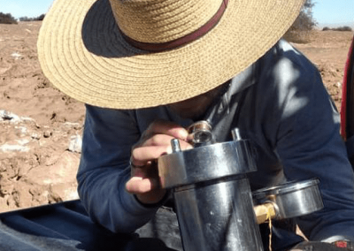 Monitoreo de los tamarugos presentes en la Pampa del Tamarugal y en el Salar de Llamara